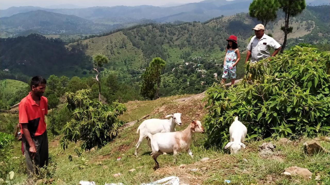Dwarahat Village Farmstay- Babaji'S Cave エクステリア 写真