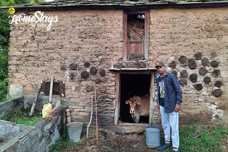 Dwarahat Village Farmstay- Babaji'S Cave エクステリア 写真