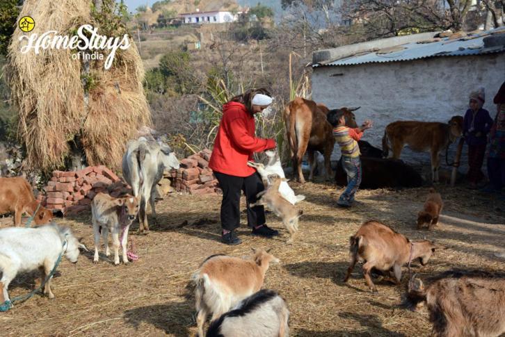 Dwarahat Village Farmstay- Babaji'S Cave エクステリア 写真