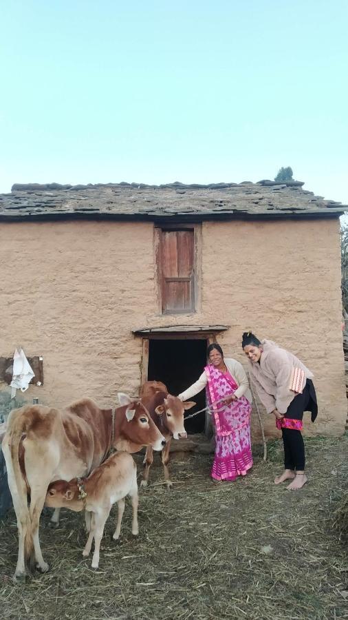 Dwarahat Village Farmstay- Babaji'S Cave エクステリア 写真