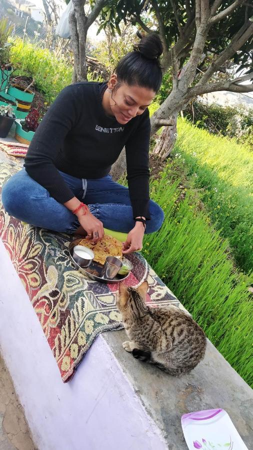 Dwarahat Village Farmstay- Babaji'S Cave エクステリア 写真