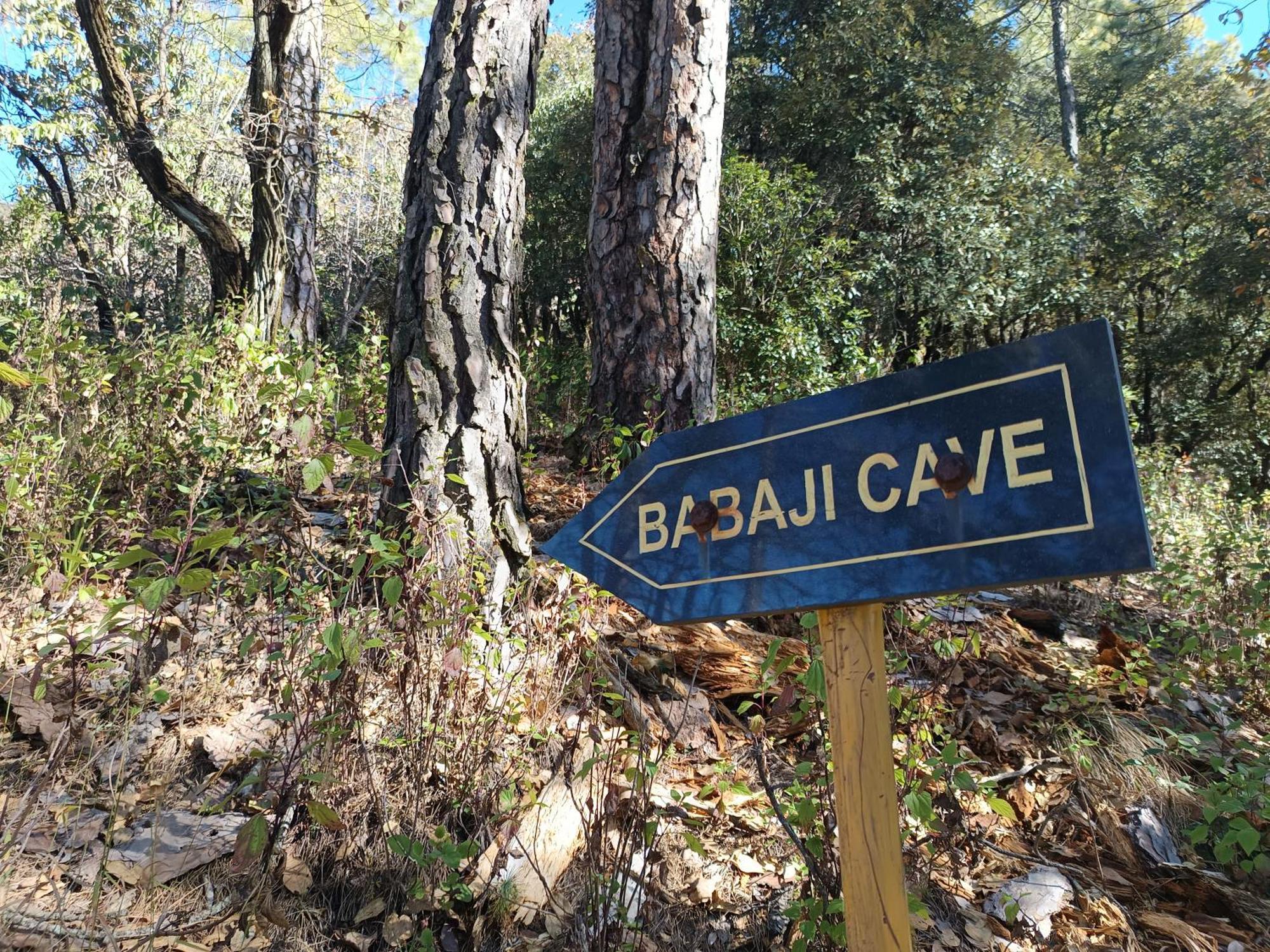 Dwarahat Village Farmstay- Babaji'S Cave エクステリア 写真